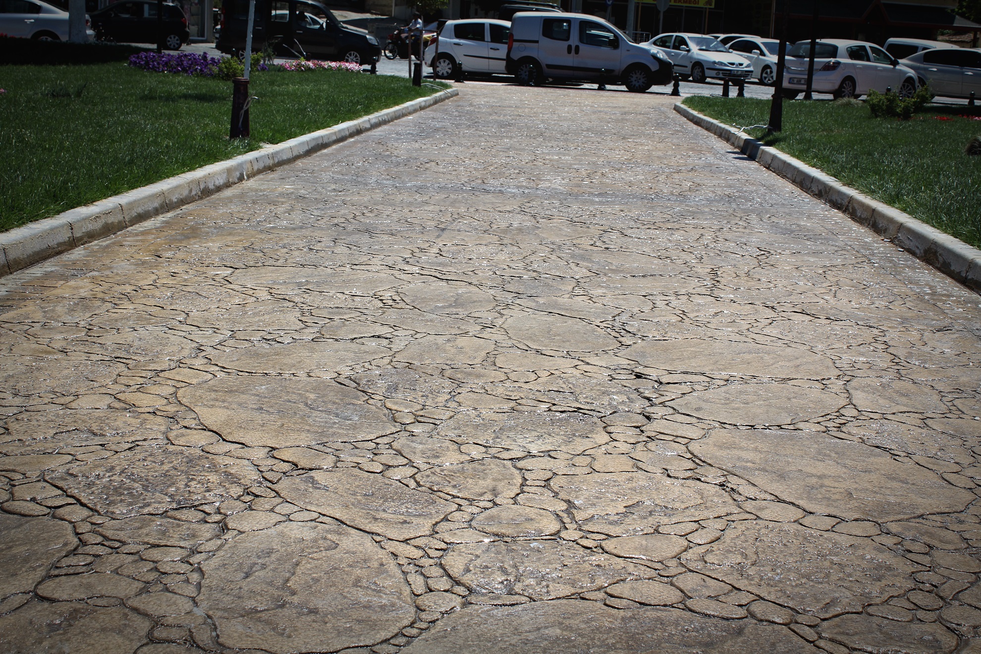 MARMARA_EREGLISI_BELEDIYESI